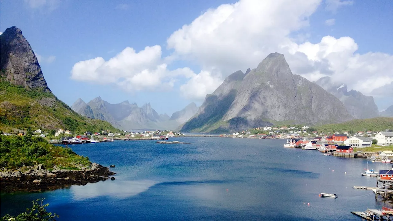 Die Lofoten: Einzigartige Landschaft und faszinierende Tierwelt