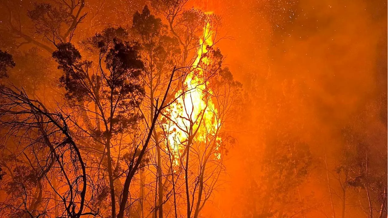 Homes destroyed in bushfire inferno