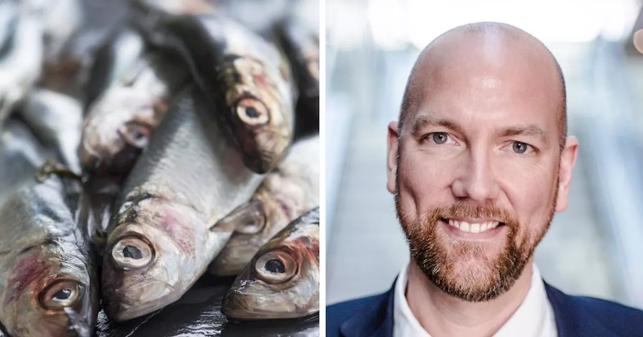 Regionrådet kritisk till den nya kvoten för strömming