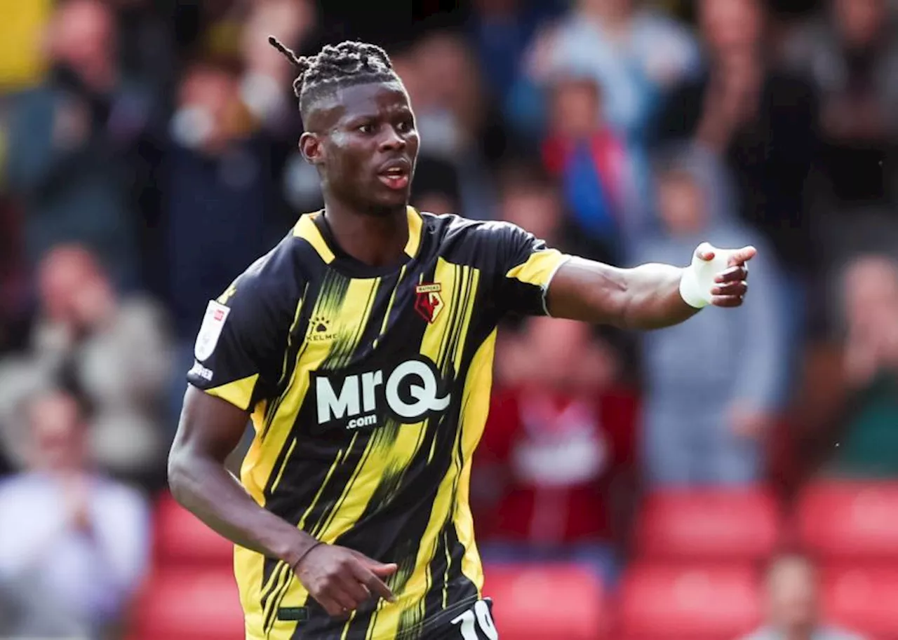 Hard-working Watford striker now needs to add more goals