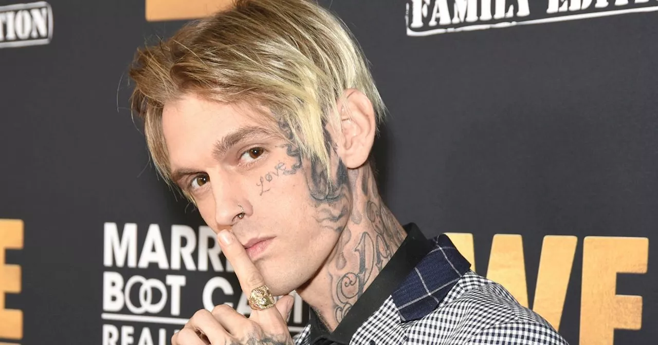 Aaron Carter's son, 2, sues doctors after star's tragic death aged 34