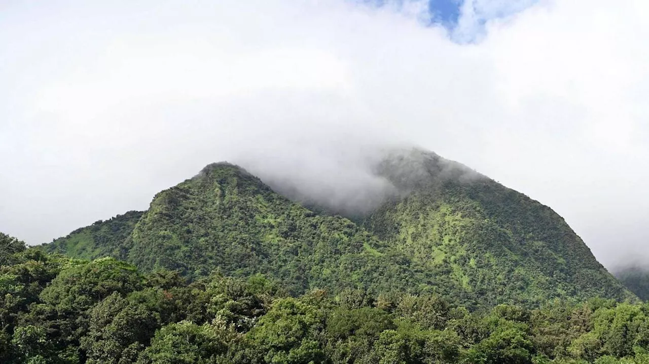 Alerte aux fortes pluies en Martinique