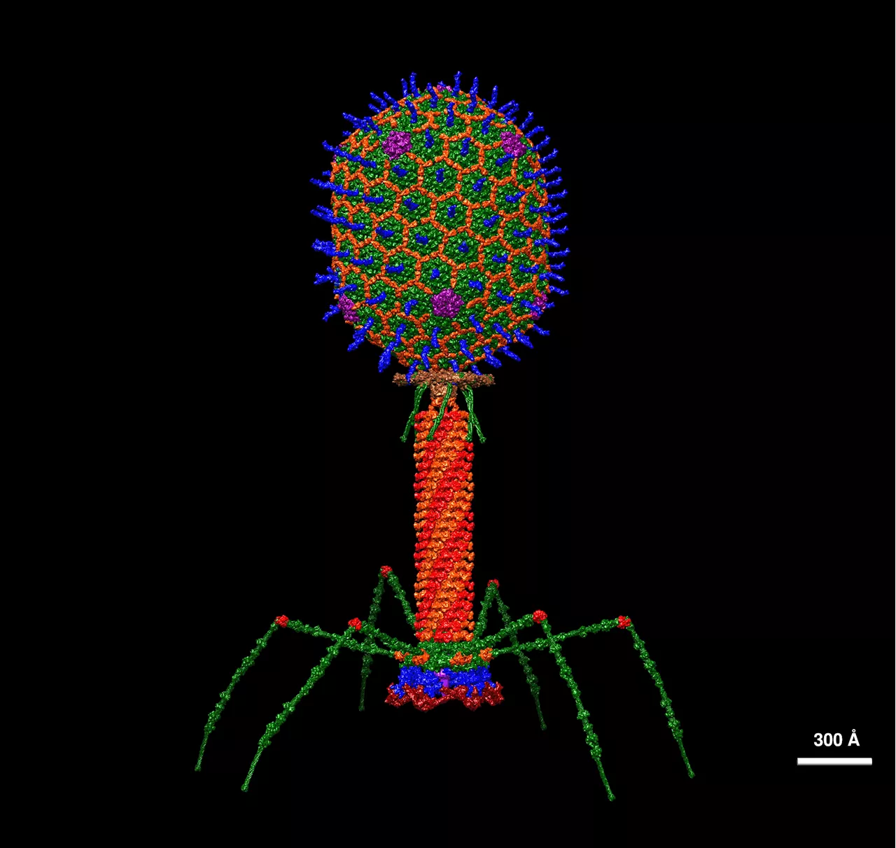 Saturday Citations: Mars limnology, phage immunology, quantum technology. Plus: The mushrooms are coming