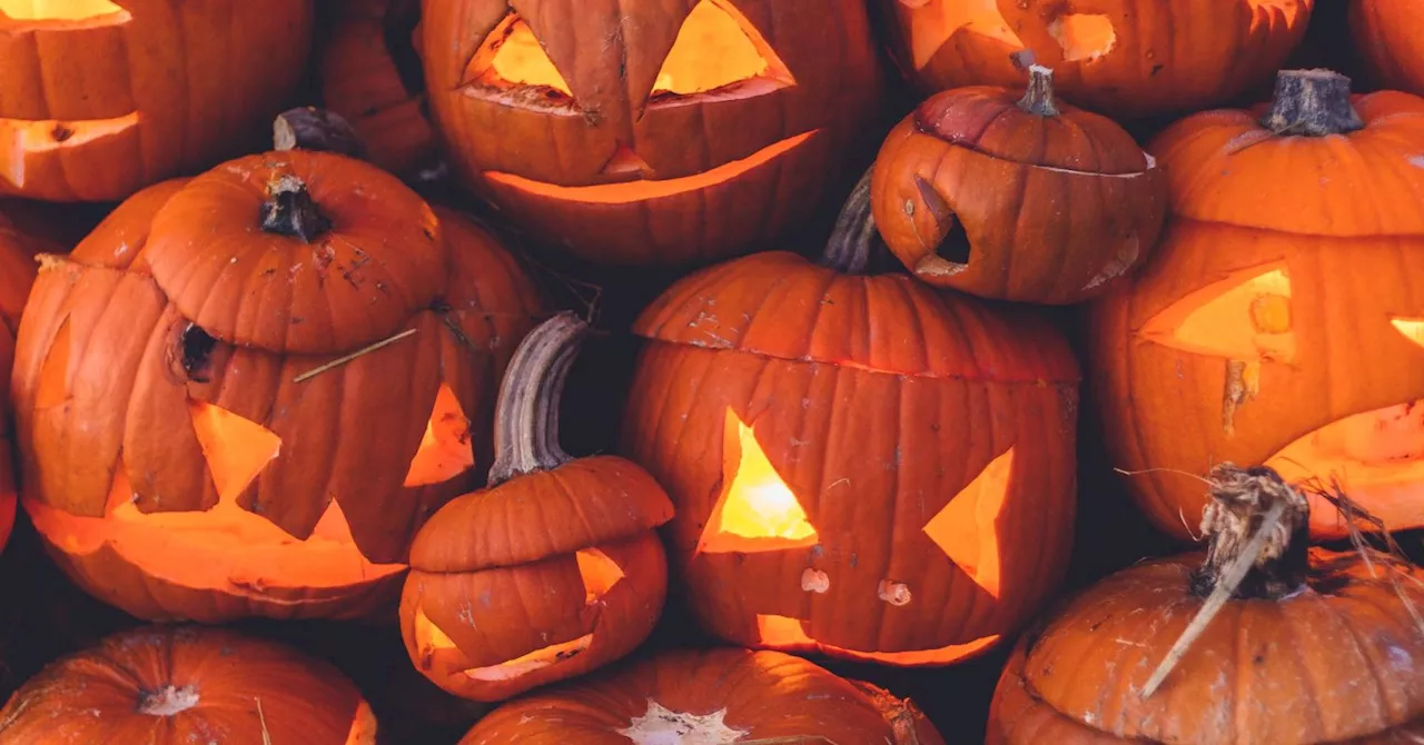 Halloween: How to "Hallow" Every Day