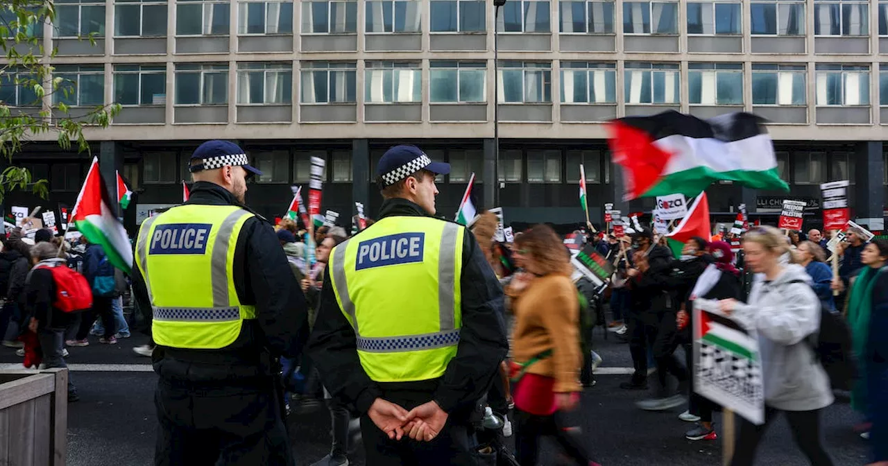 Supporters Rally for Palestinians as Israel's Offensive on Gaza Continues