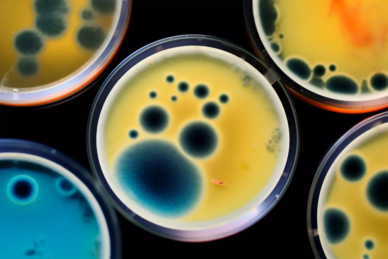 Genomic Surveillance: New Weapon Against the Rise of Deadly “Superbugs”