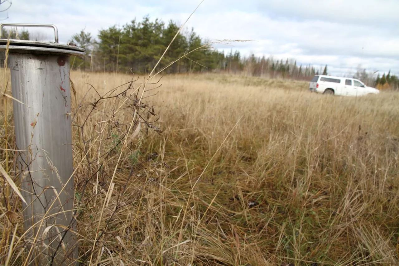 Renabie Gold Mine: A Story of Rehabilitation and Abandoned Mines