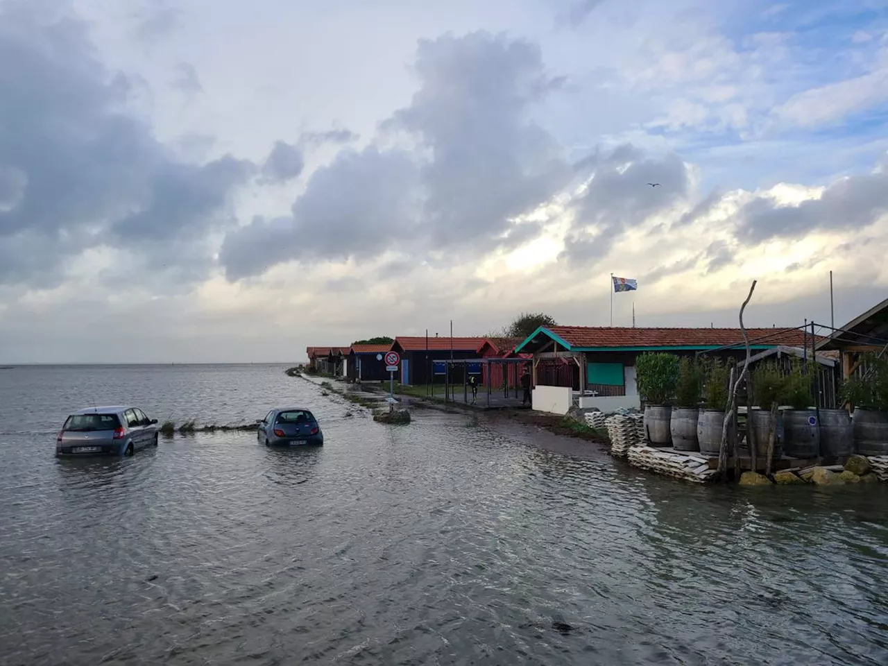 Alerte aux marées sur le bassin d'Arcachon