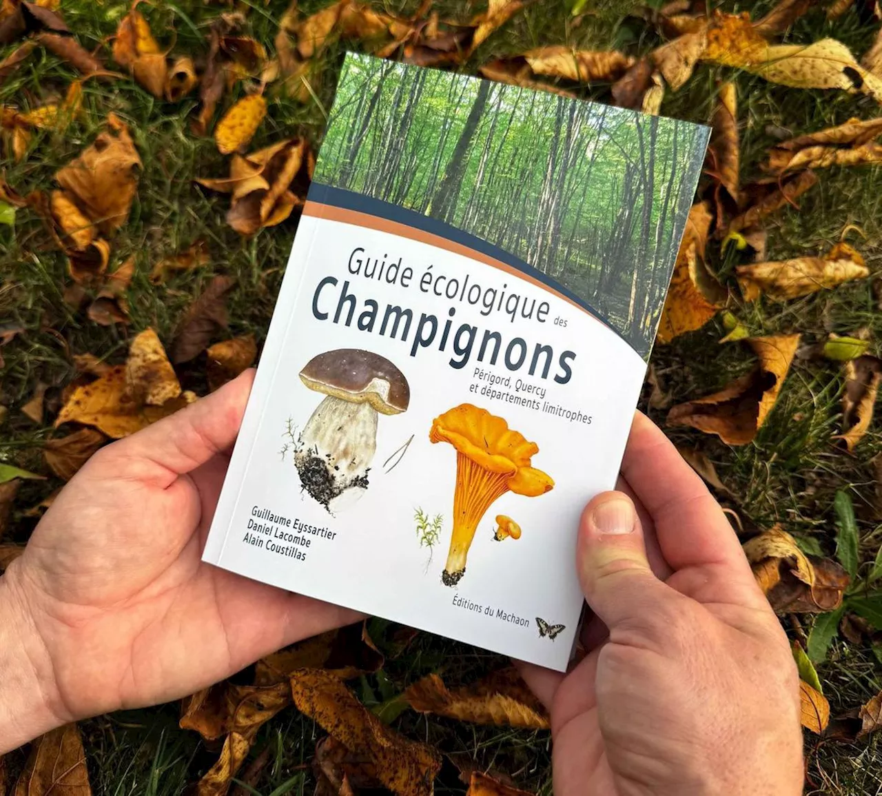 Un guide écologique des champignons publié en Dordogne