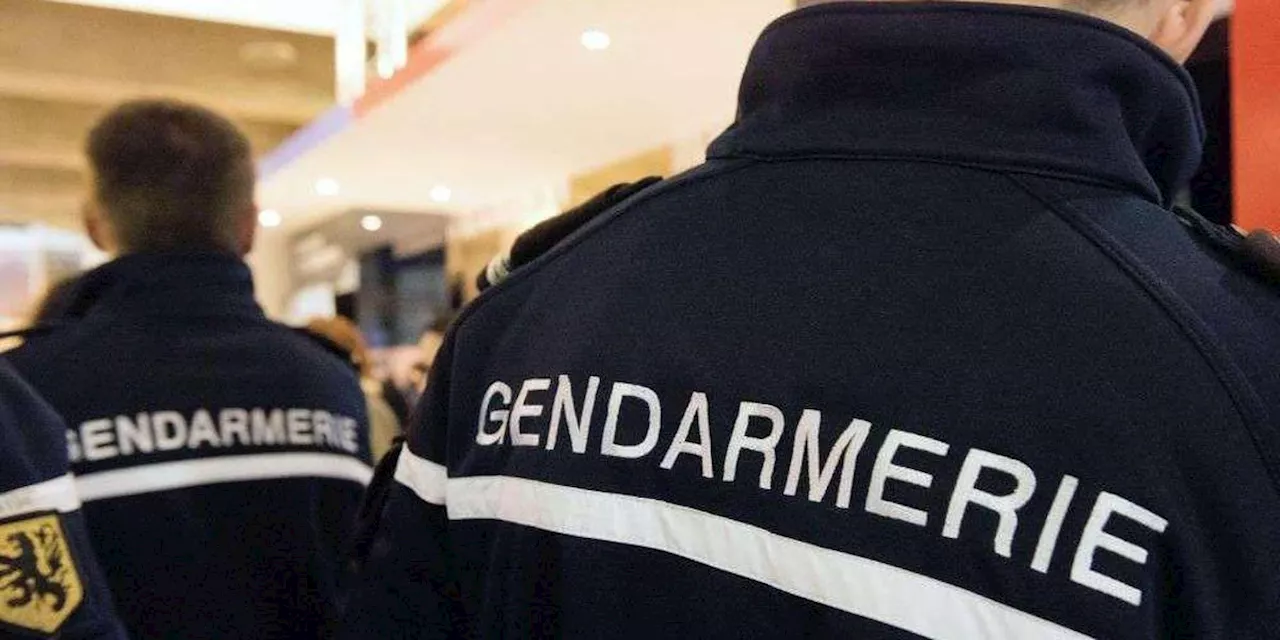 Un homme interpellé après avoir tué trois personnes à La Réunion