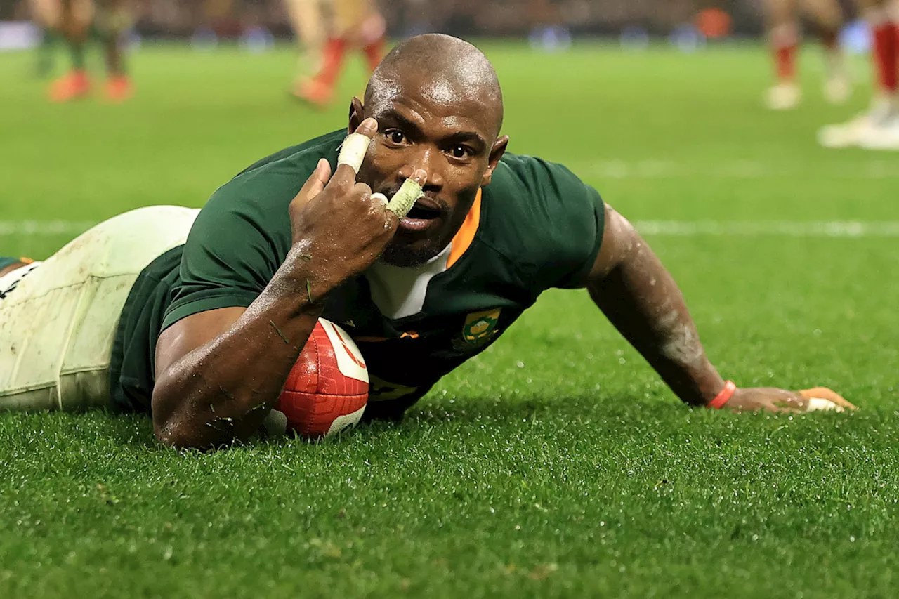 WATCH: Marx and Mapimpi rejoin Springboks squad in emotional scenes