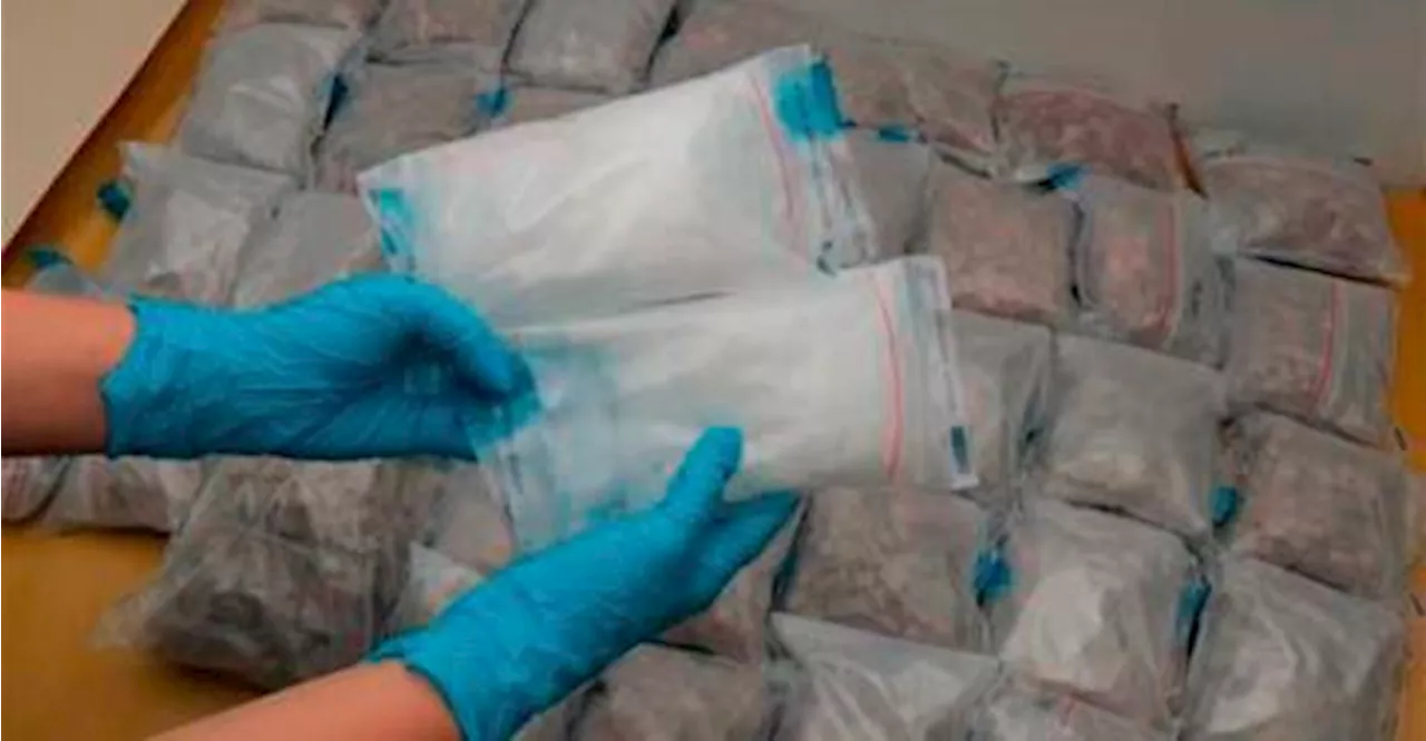 Johor Customs crack three drug trafficking cases worth RM25.5 mln