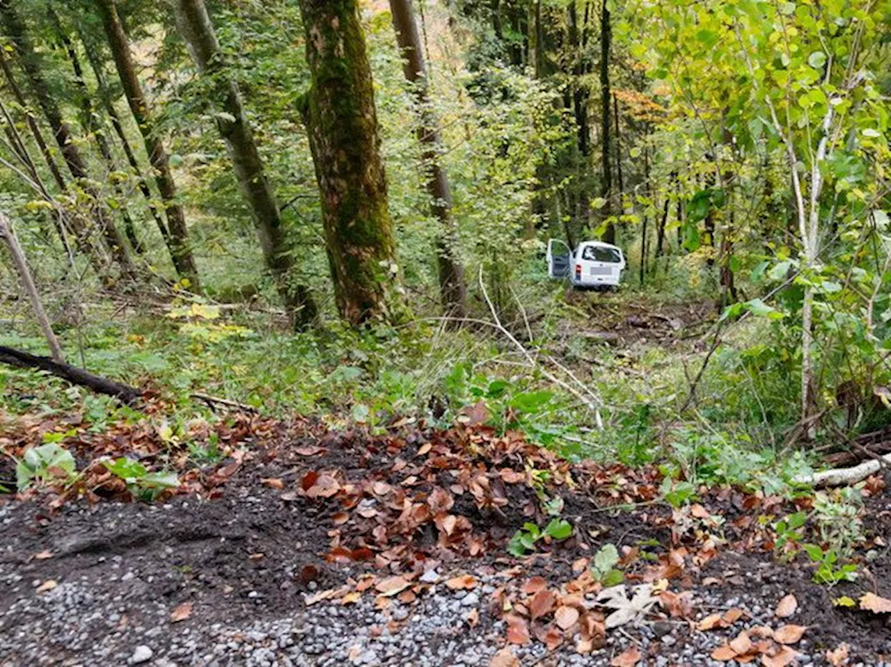 VW-Bus in Reuthe 30 Meter abgestürzt