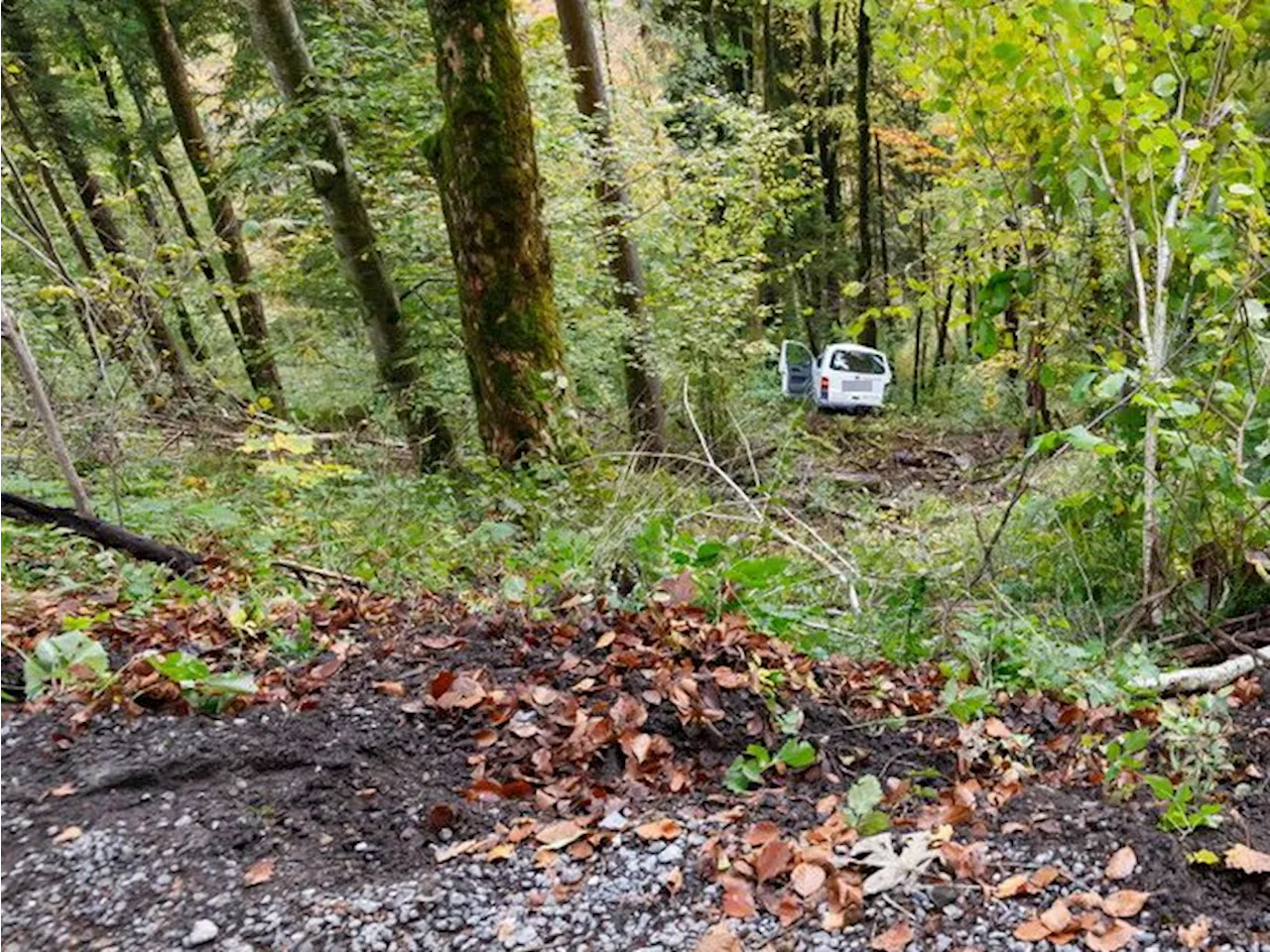 VW-Bus in Reuthe 35 Meter abgestürzt