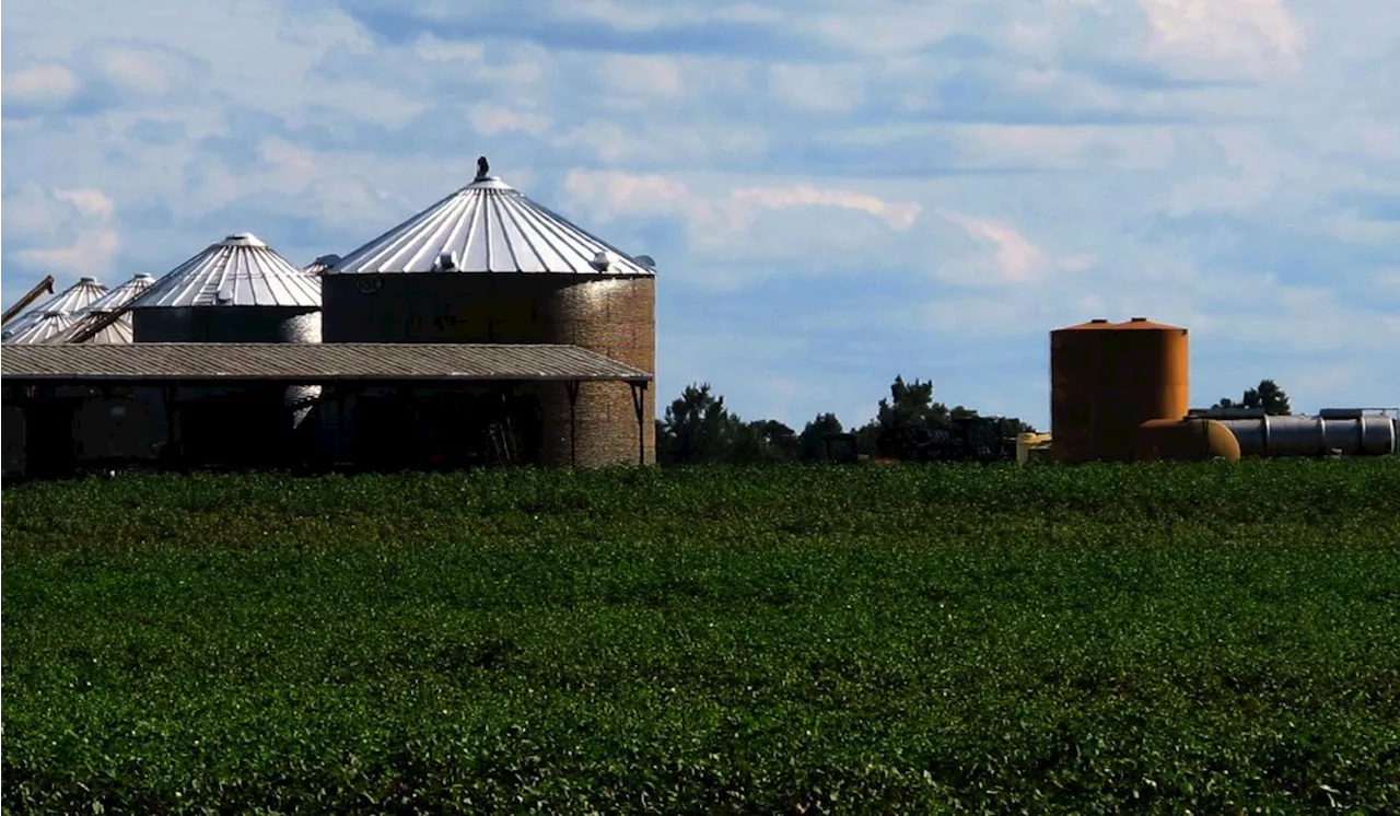 Republicans press Speaker Mike Johnson to act swiftly on Farm Bill