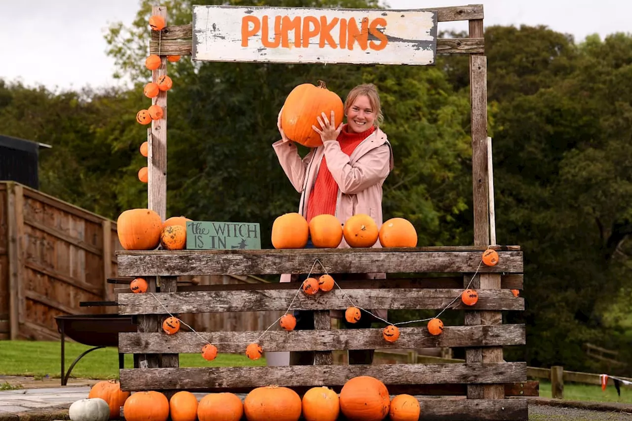 Brookleigh Pumpkin Patch: Meet the former London mum who is now running a pumpkin patch and Halloween trail in rural Yorkshire