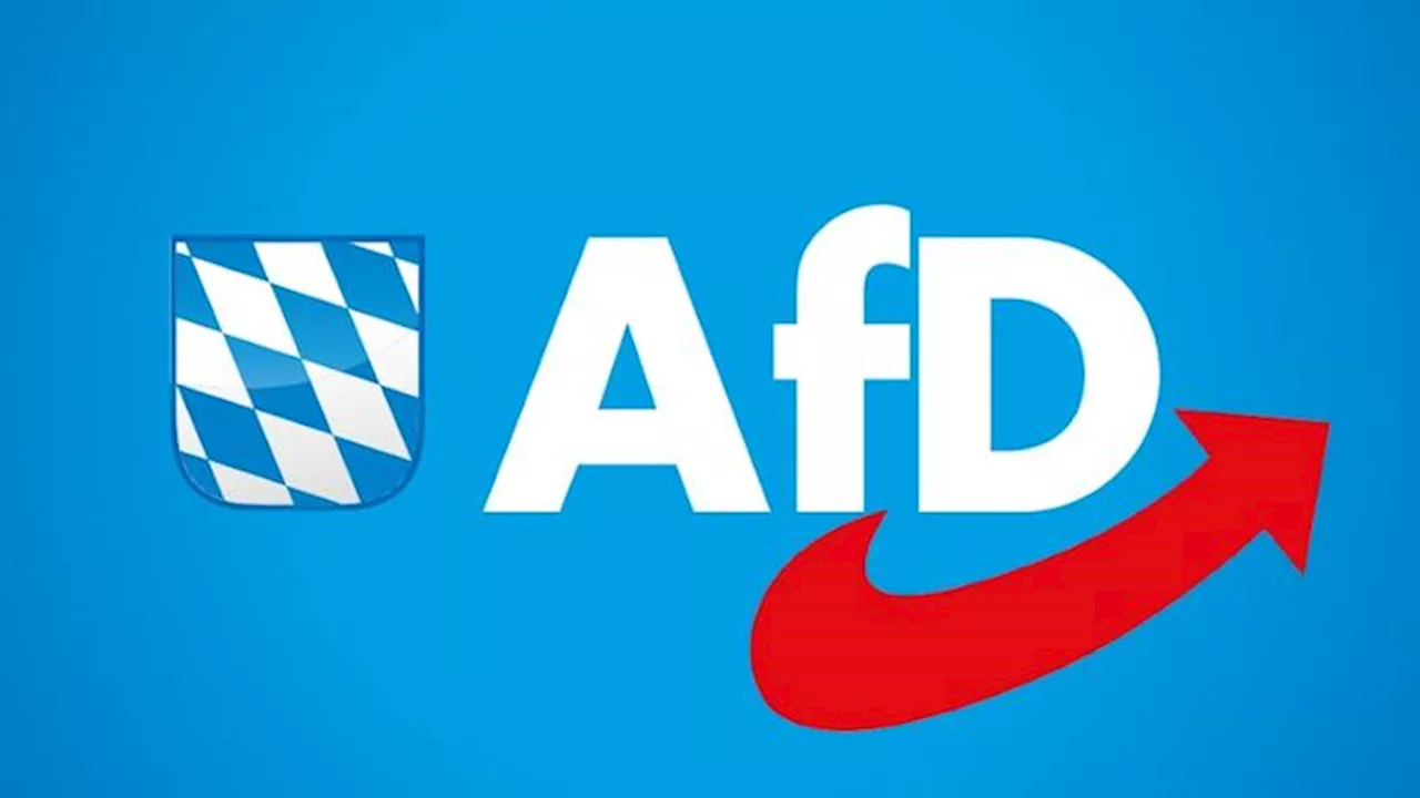 AfD-Politiker David Halemba per Haftbefehl gesucht