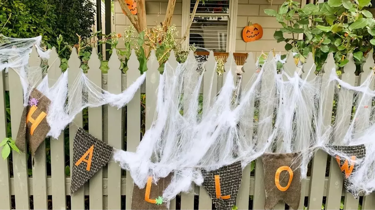 Por qué no deberías usar telas de araña falsas para decorar por Halloween