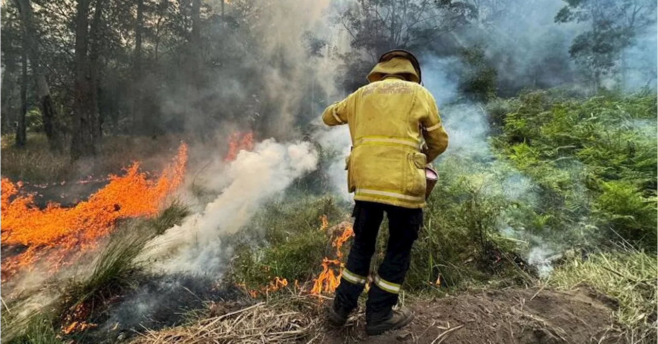 Heatwave conditions in New South Wales triggers extreme fire danger warning