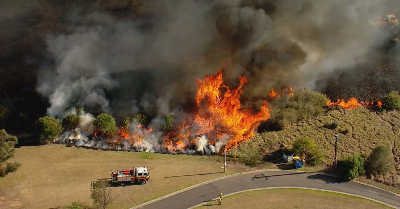 Residents warned over Sydney grass fire amid total fire ban