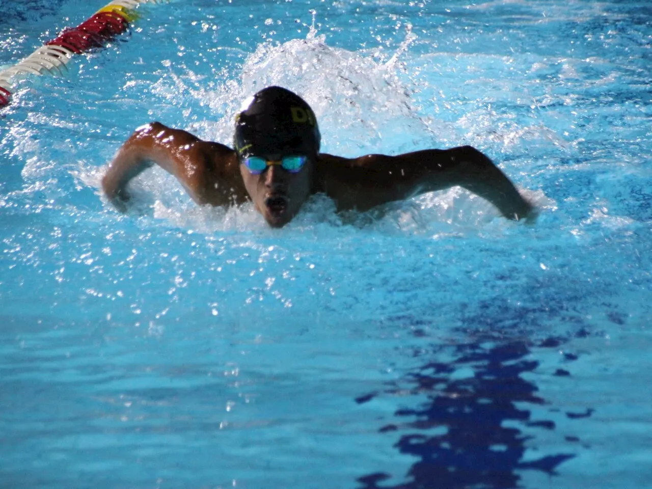 Meeting de natation CNF - Fougères Agglomération : une belle réussite avec 350 compétiteurs