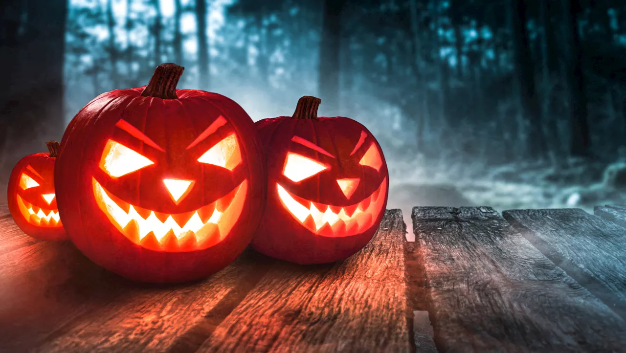 Occitanie : que faire dans le Gard pour réussir sa soirée d'Halloween ?