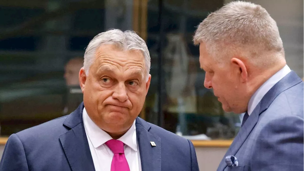 Slovakia and Hungary threaten to break EU unity on Ukraine military aid