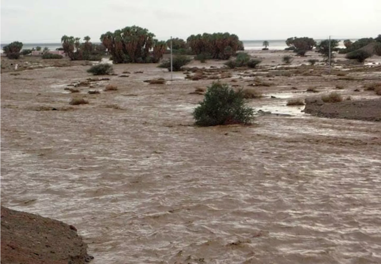 أمطار غزيرة في المدينة وسيول غرب تبوك | صحيفة المواطن الالكترونية للأخبار السعودية والخليجية والدولية