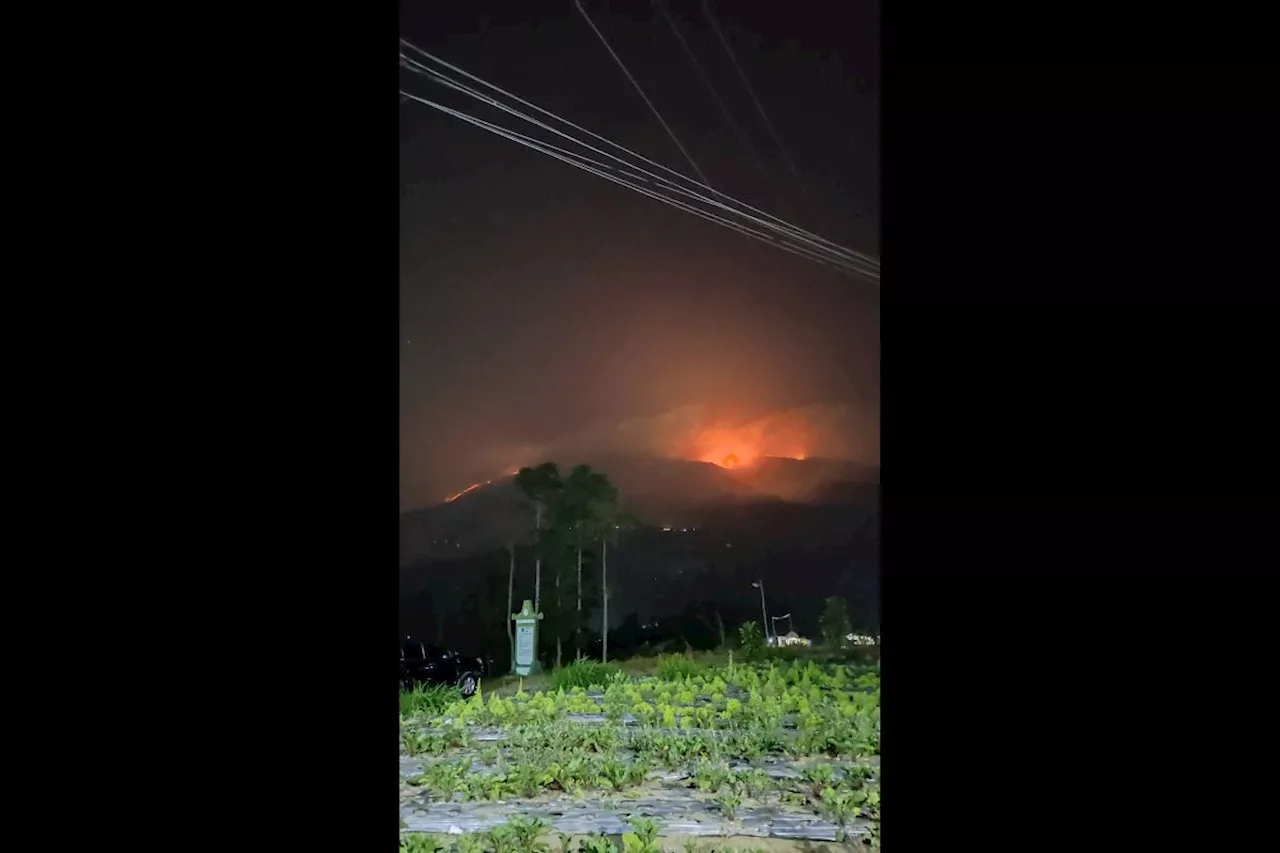 Hingga Minggu, lahan terbakar di Gunung Merbabu capai 489,07 ha