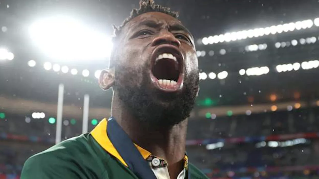 South Africa's Determination Leads to Victory Against New Zealand