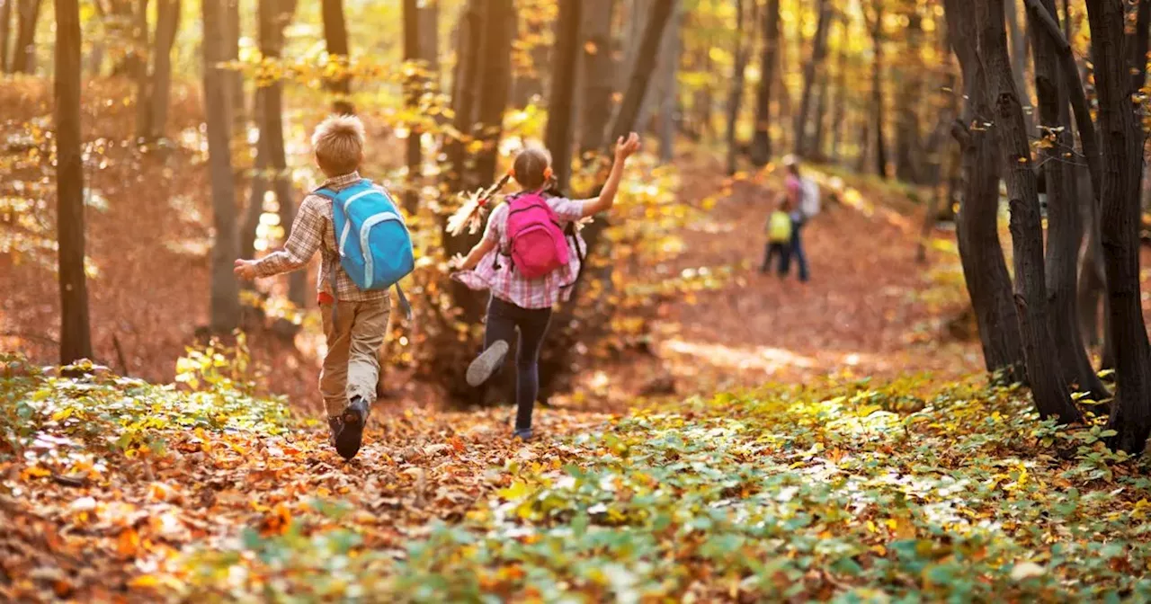 Fun Nature-Inspired Activities to Keep Kids Entertained in Northern Ireland