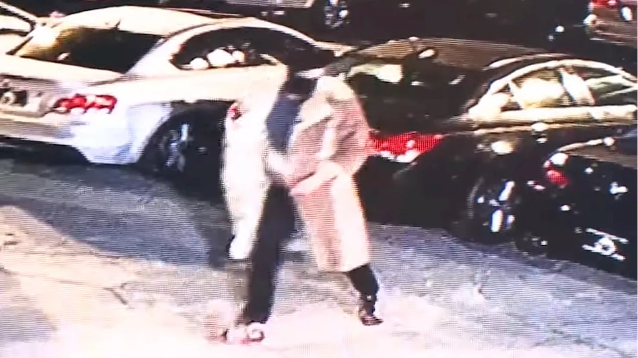 Mission Impossible Heist At Dealership Sees Thieves In Fur Coats And Cowboy Hats Steal 8 Cars