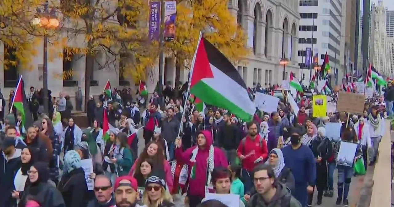 Demonstrators in Chicago Loop rally for ceasefire in Israel-Hamas war