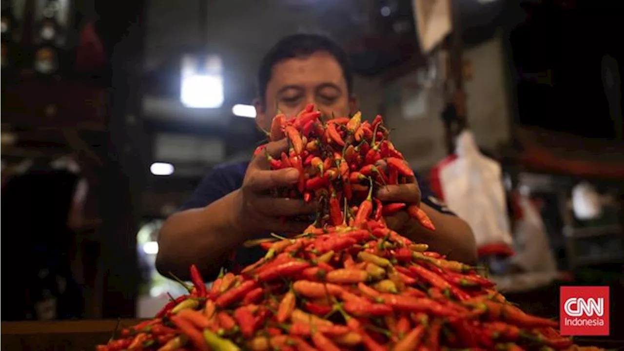 Asosiasi Klaim Harga Cabai di Depok Tembus Rp100 Ribu per Kilo