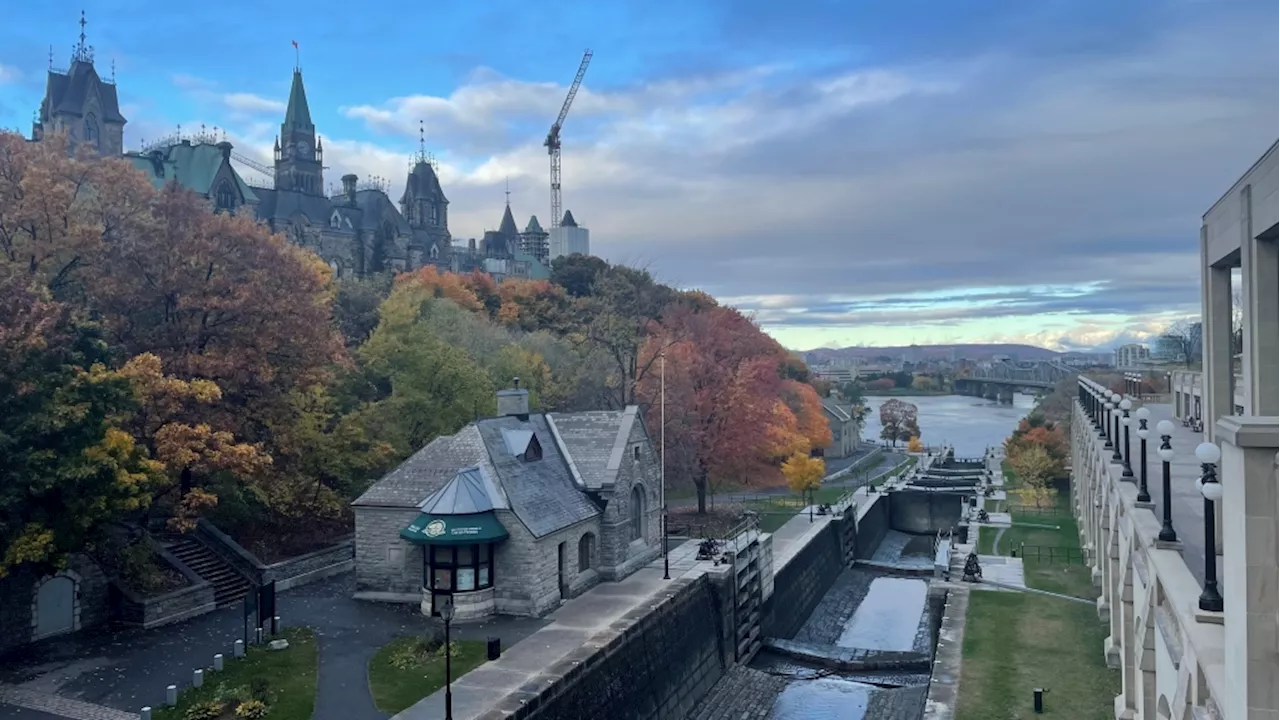 Halloween Activities and Intensified Strikes in Ottawa Valley and Gaza