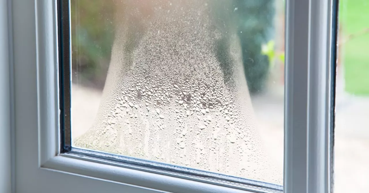 How to Avoid Condensation in Your Home