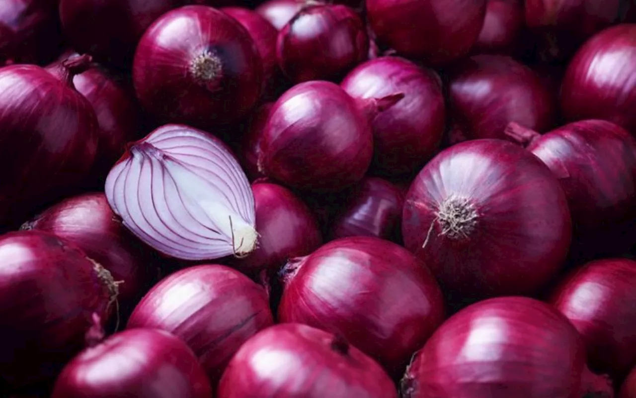 India restricts onion exports to boost domestic supply