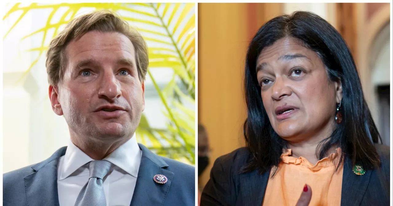 Jayapal says she has 'no idea' how Dean Phillips' policies differ from Biden's