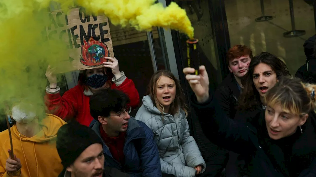 Antisemitismus bei Fridays for Future: Das ist das Ende der Klimabewegung, wie wir sie kennen