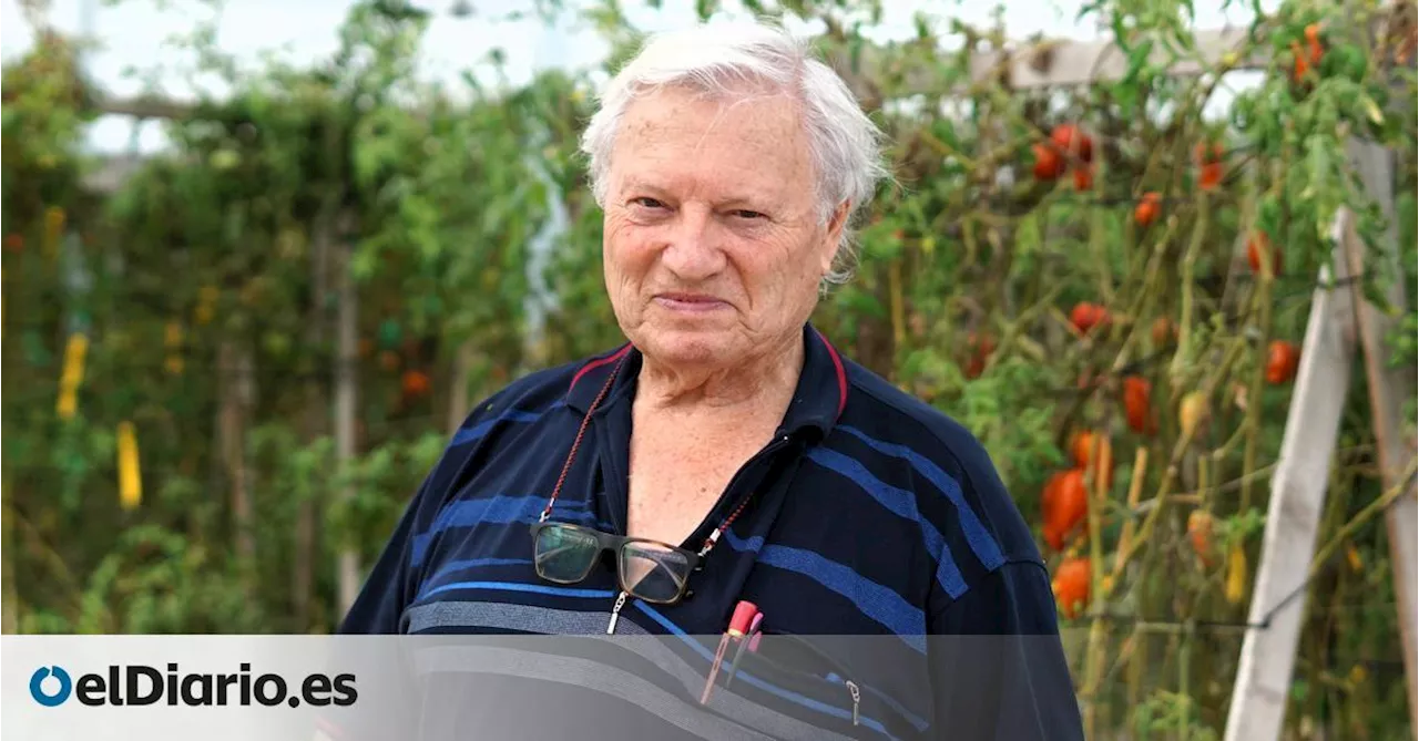 El agricultor 'cautivo' de los tomates: 'Desde los años 60, la industria ha dicho: 'dejad la naturaleza que aquí estoy yo''