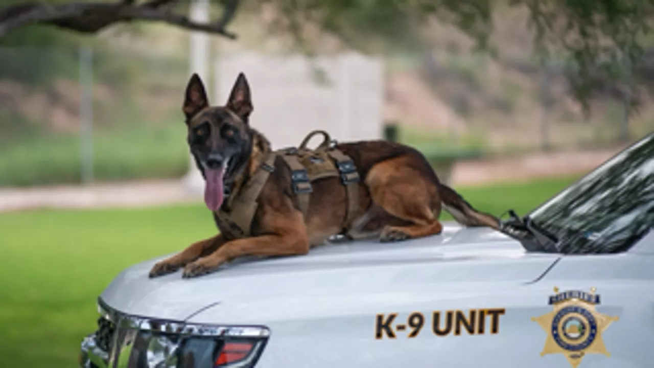 K-9 deputy with Pima County Sheriff's Office stabbed, killed during investigation