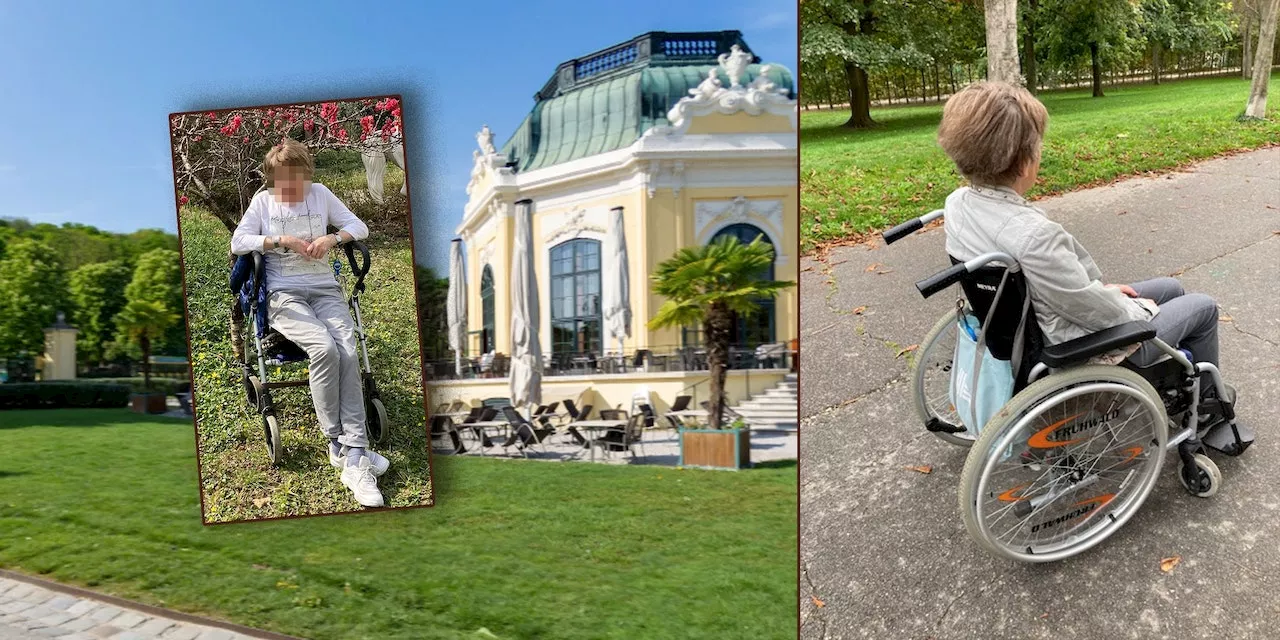 Wienerin zahlt vollen Eintrittspreis im Tiergarten Schönbrunn trotz körperlicher Strapazen