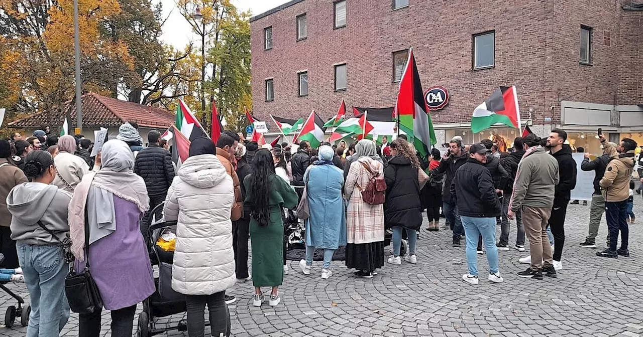 Protest gegen den Krieg im Gazastreifen