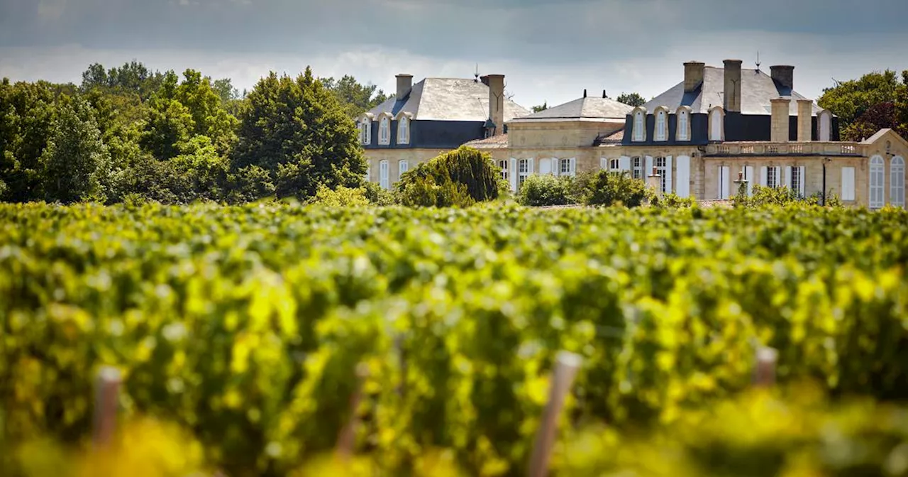 The Irish connection to an illustrious wine family in Bordeaux