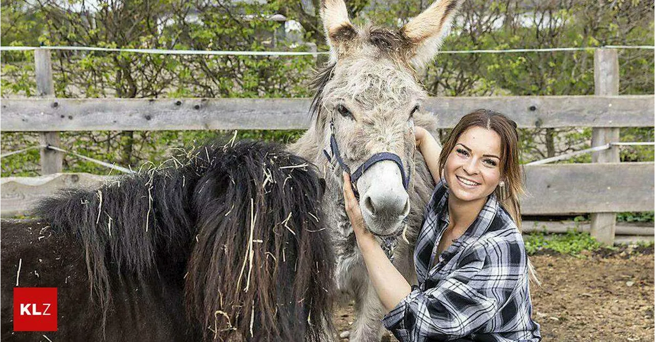 Bauer sucht Frau:So viele Bewerber gab es noch nie: Pferdewirtin Nicole aus Zettling fand die Liebe