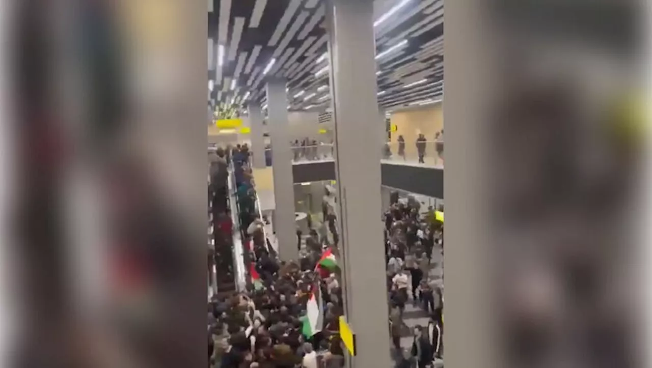 VIDEO. Guerre Israël-Hamas : en Russie, un aéroport pris d'assaut par une foule alors qu'un avion en provenanc