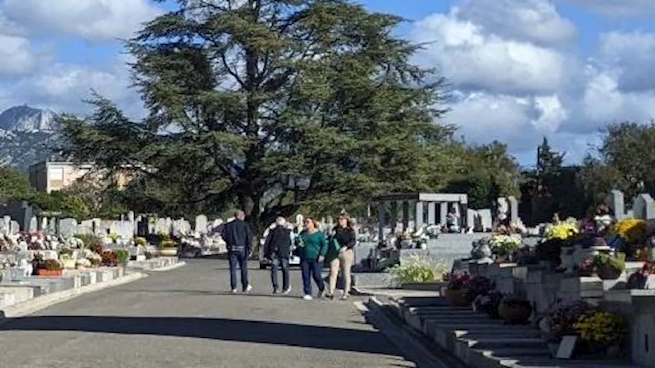 Un navigateur célèbre pour avoir ramené le chrysanthème en Europe