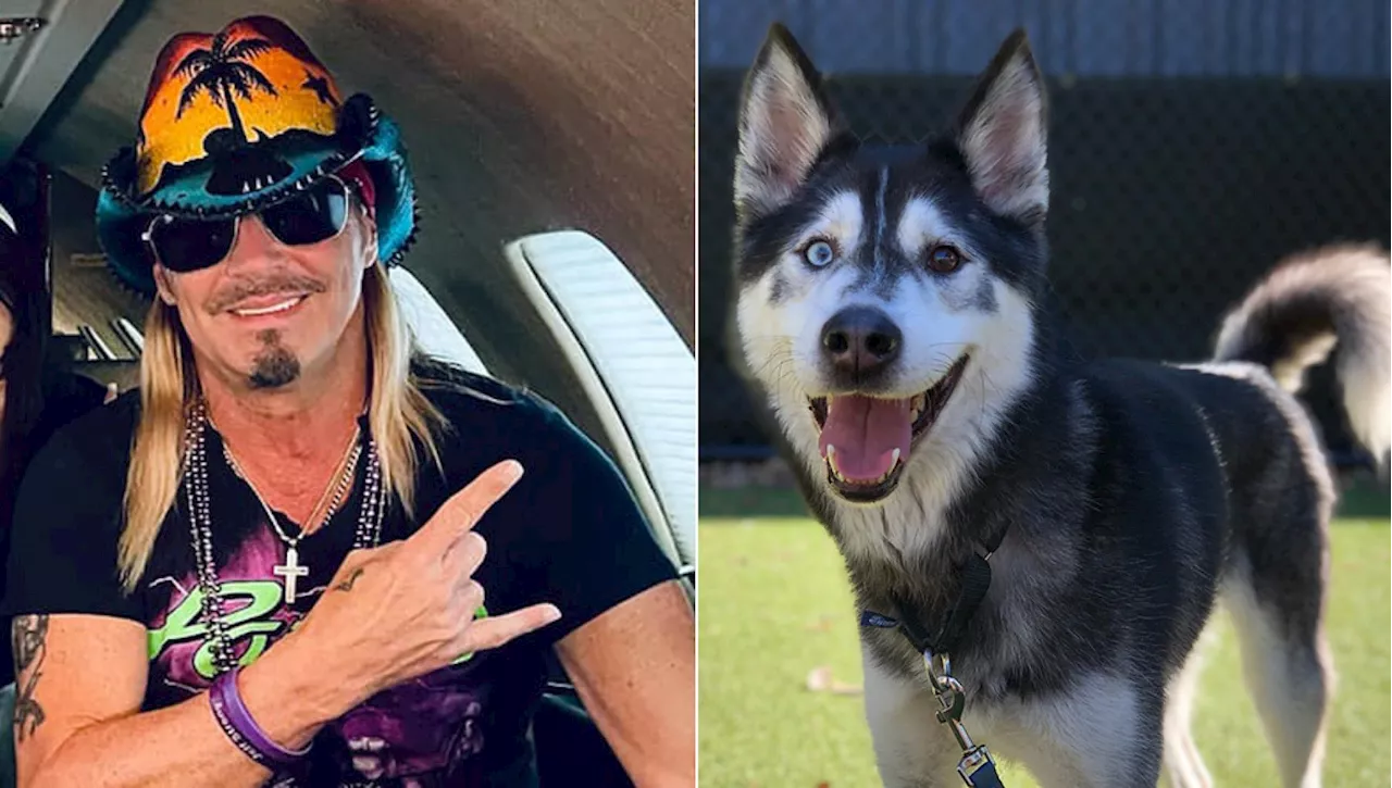 La rockstar Bret Michaels adotta un cane che porta il suo stesso nome e che ha salvato un gatto donando il s…