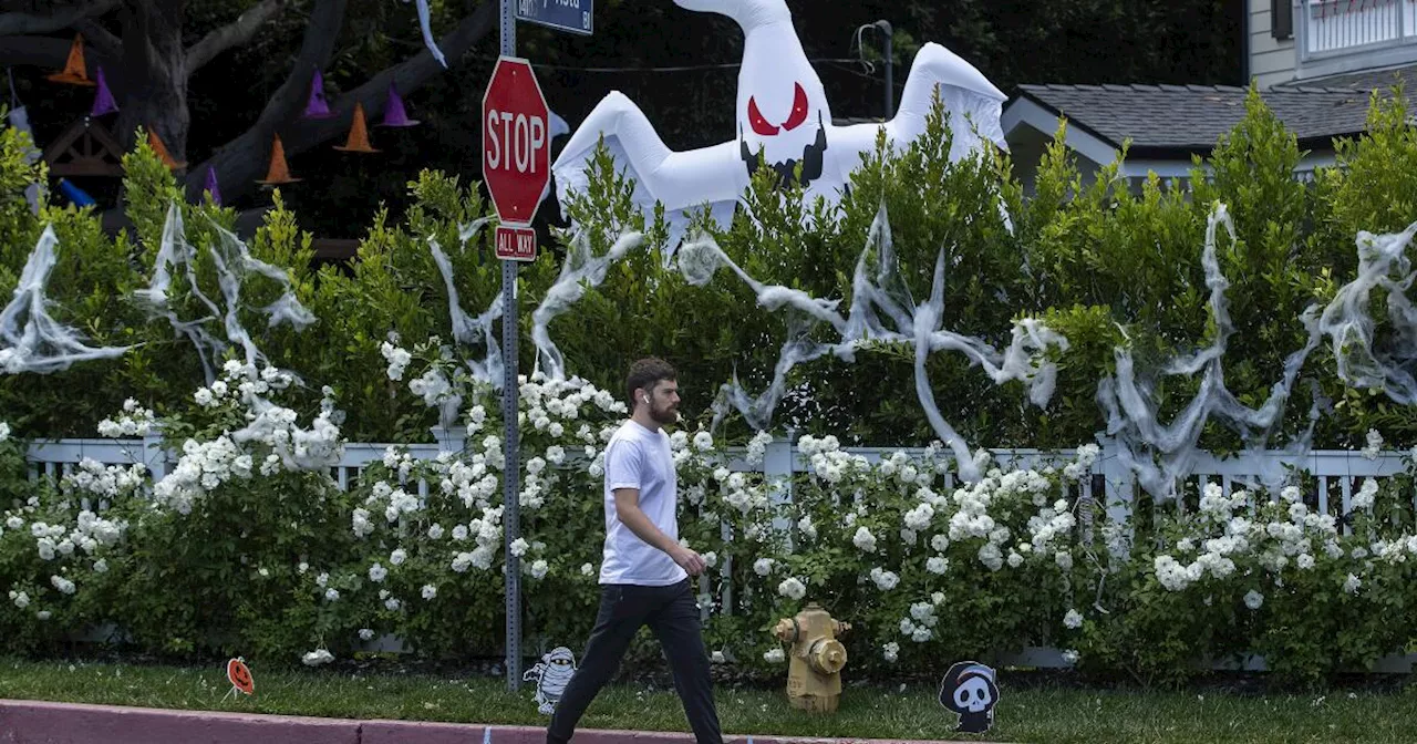 Fake Halloween spiderwebs are truly scary — to wildlife