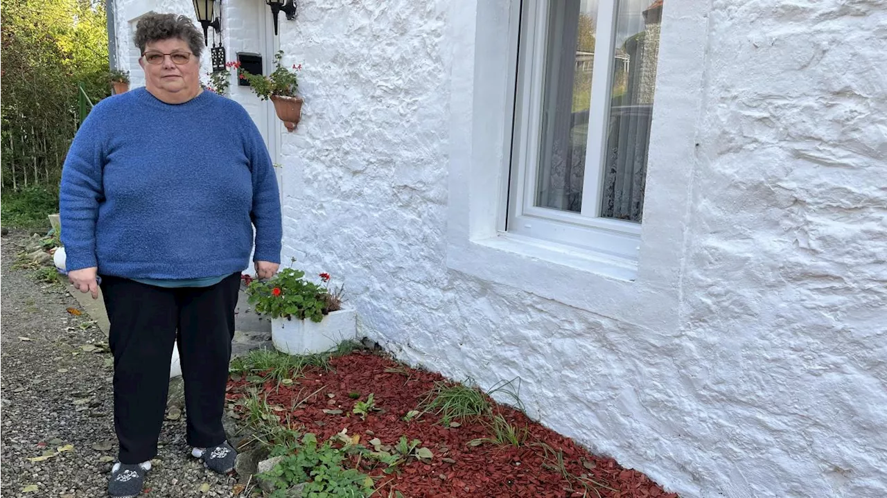 Vol de 170 nains de jardin à Ferrière-la-Petite